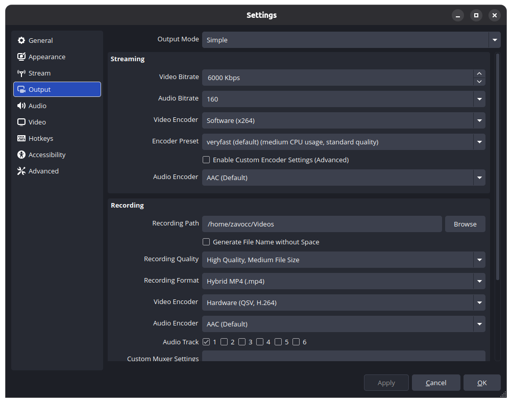 OBS Output Settings